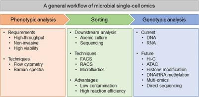 Microbial Single-Cell Analysis: What Can We Learn From Mammalian?